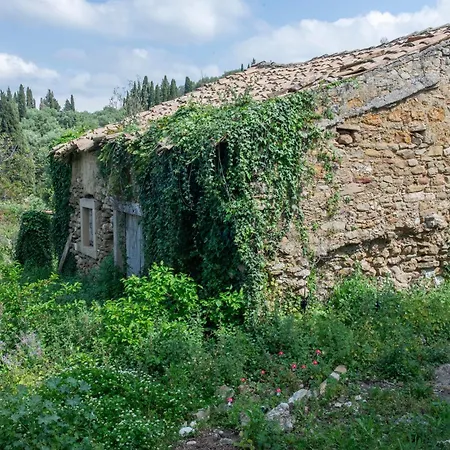 펜션 Liopetra At Messaria Corfu! Mesaria (Corfu)